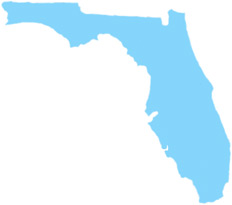 Florida Medical License